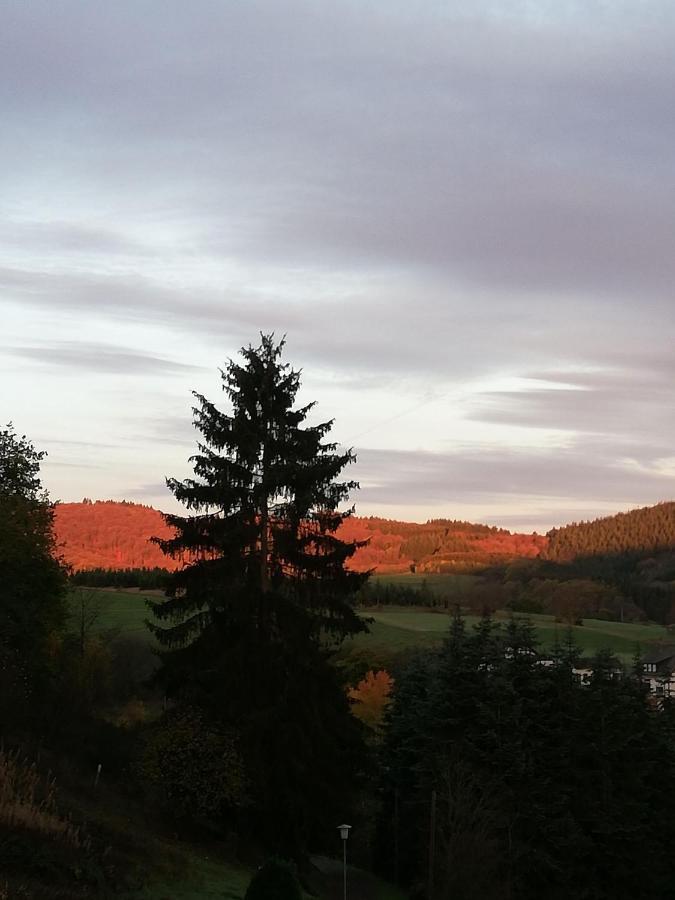 Ferienwohnung-In-Schoenster-Lage Baar  Bagian luar foto