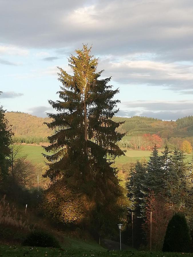 Ferienwohnung-In-Schoenster-Lage Baar  Bagian luar foto